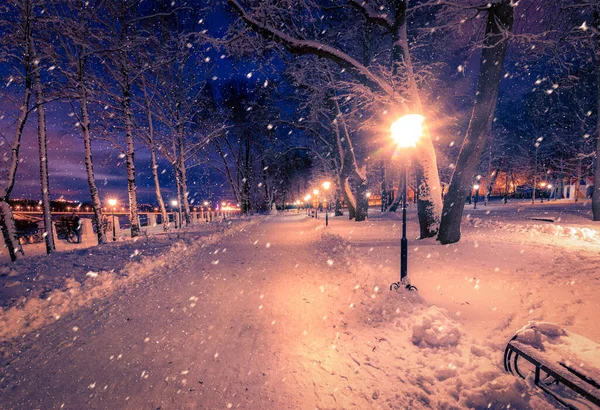 Parque Nocturno Invierno Con Farolillos Pavimento Árboles Cubiertos Nieve Fuertes — Foto de Stock