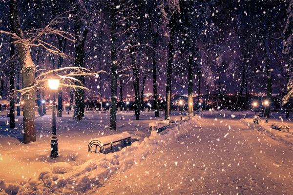 Winter Night Park Lanterns Pavement Trees Covered Snow Heavy Snowfall — Stock Photo, Image