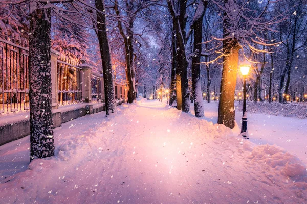 Parque Noturno Inverno Com Lanternas Pavimento Árvores Cobertas Neve Queda — Fotografia de Stock