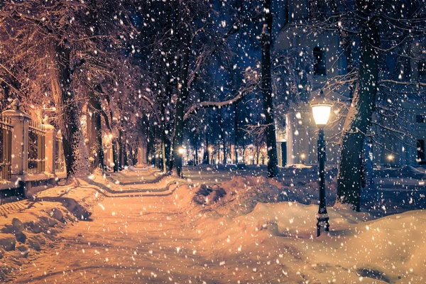 Χειμερινό Νυχτερινό Πάρκο Φανάρια Πεζοδρόμιο Και Δέντρα Καλυμμένα Χιόνι Βαριά — Φωτογραφία Αρχείου