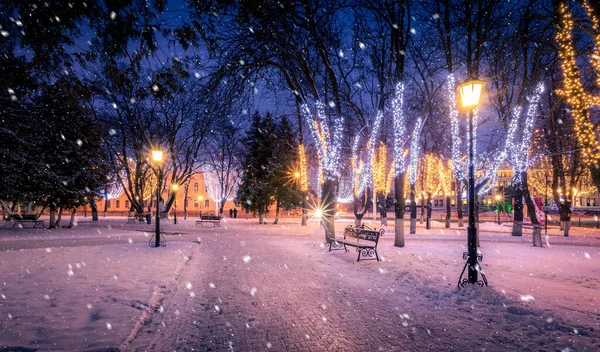 Winternachtpark Met Lantaarns Kerstversieringen Zware Sneeuwval — Stockfoto