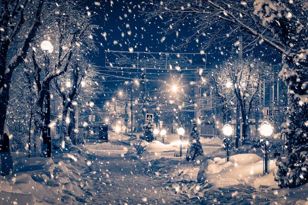 Parque Noturno Inverno Com Lanternas Pavimento Árvores Cobertas Neve Queda — Fotografia de Stock