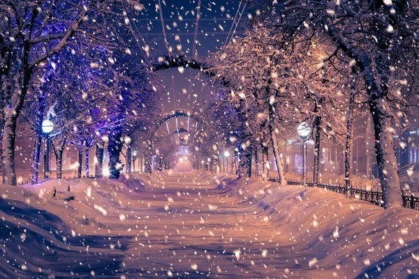Zimowy Park Nocny Latarniami Dekoracjami Świątecznymi Obfitych Opadach Śniegu — Zdjęcie stockowe