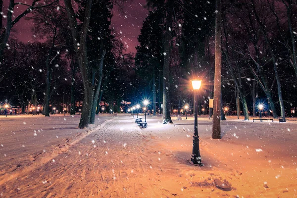 Parque Noturno Inverno Com Lanternas Pavimento Árvores Cobertas Neve Queda — Fotografia de Stock