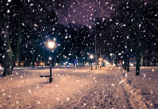 Зимовий Нічний Парк Ліхтарями Тротуарами Деревами Вкритими Снігом Сильних Снігопадах — стокове фото