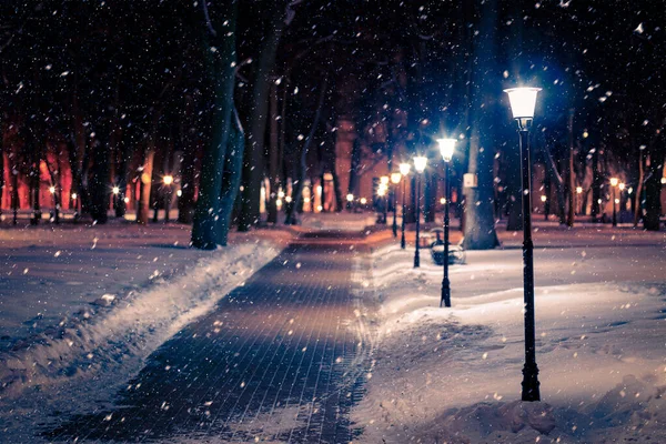 豪雪地帯の雪に覆われたランタン 舗装された木々と冬の夜の公園 — ストック写真