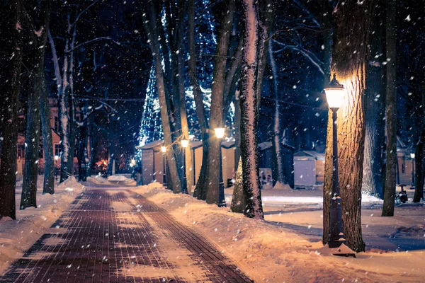 Parque Noturno Inverno Com Lanternas Pavimento Árvores Cobertas Neve Queda — Fotografia de Stock