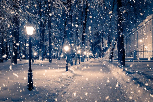 Зимовий Нічний Парк Ліхтарями Тротуарами Деревами Вкритими Снігом Сильних Снігопадах — стокове фото