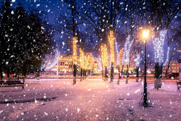 Winternachtpark Met Lantaarns Kerstversieringen Zware Sneeuwval — Stockfoto