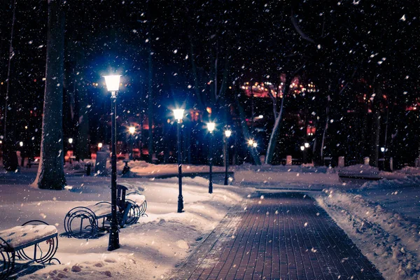 Winter Nachtpark Met Lantaarns Bestrating Bomen Bedekt Met Sneeuw Zware — Stockfoto