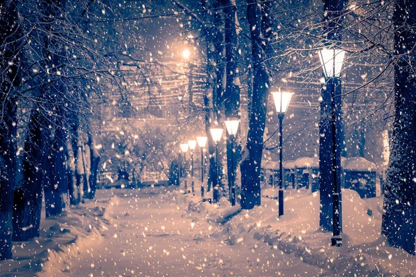 Winter Night Park Lanterns Pavement Trees Covered Snow Heavy Snowfall — Stock Photo, Image