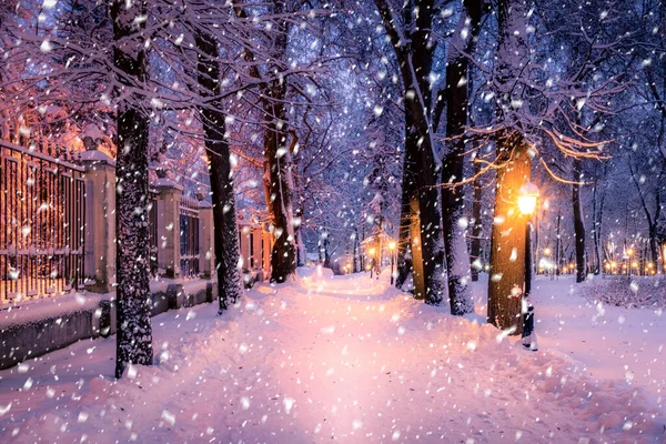 Fenerlerle Kaldırımlarla Karla Kaplı Ağaçlarla Dolu Kış Gecesi Parkı — Stok fotoğraf