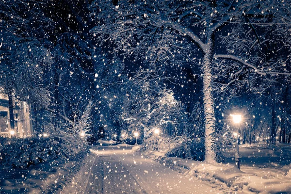 Winter Nachtpark Met Lantaarns Bestrating Bomen Bedekt Met Sneeuw Zware — Stockfoto