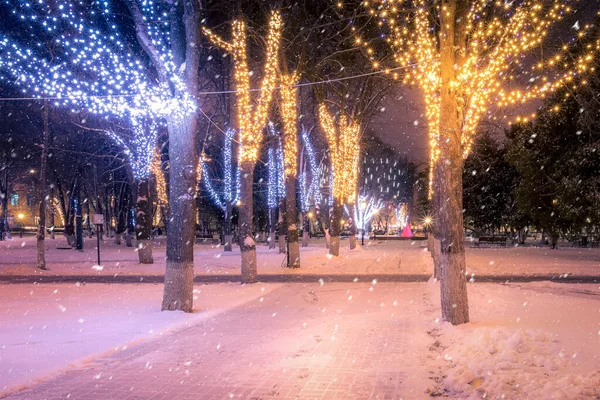 Parco Notturno Invernale Con Lanterne Decorazioni Natalizie Abbondanti Nevicate — Foto Stock