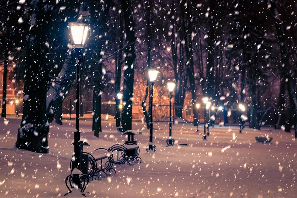 Zimowy Park Nocny Latarniami Chodnikiem Drzewami Pokrytymi Śniegiem Obfitych Opadach — Zdjęcie stockowe