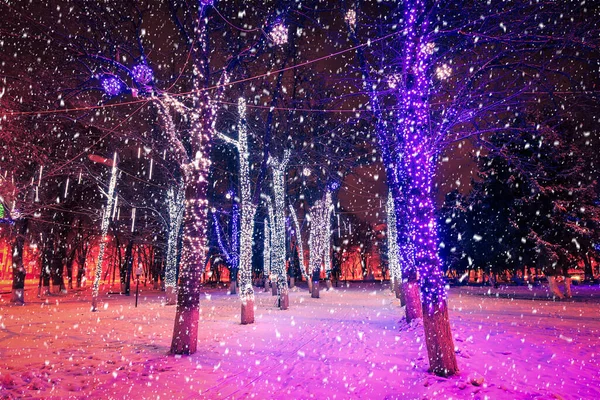 Winternachtspark Mit Laternen Und Weihnachtsdekoration Bei Starkem Schneefall — Stockfoto