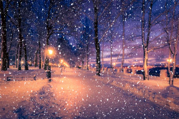 Foto Azulada Parque Nocturno Invierno Con Linternas Pavimento Árboles Cubiertos —  Fotos de Stock