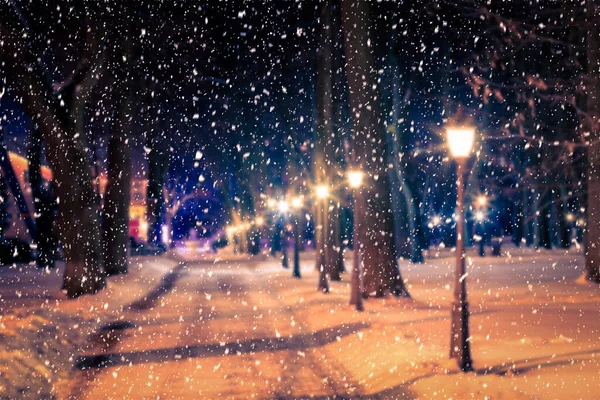 Photo Floue Parc Nocturne Hiver Avec Lanternes Trottoir Arbres Couverts — Photo