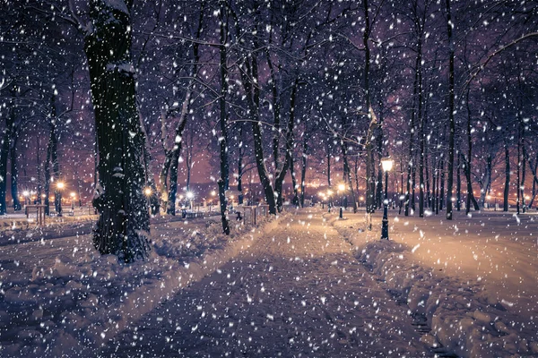 Téli Éjszakai Park Lámpásokkal Járdával Havas Fákkal Nagy Hóesésben — Stock Fotó