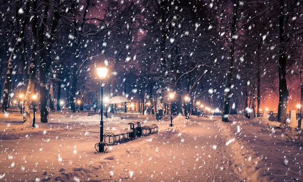 Parco Notturno Invernale Con Lanterne Marciapiedi Alberi Innevati — Foto Stock