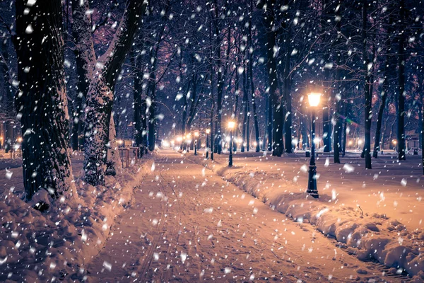 Zimowy Park Nocny Latarniami Chodnikiem Drzewami Pokrytymi Śniegiem Obfitych Opadach — Zdjęcie stockowe