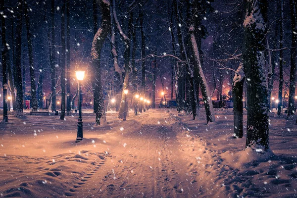 Winternachtpark Mit Laternen Bürgersteig Und Schneebedeckten Bäumen Bei Starkem Schneefall — Stockfoto