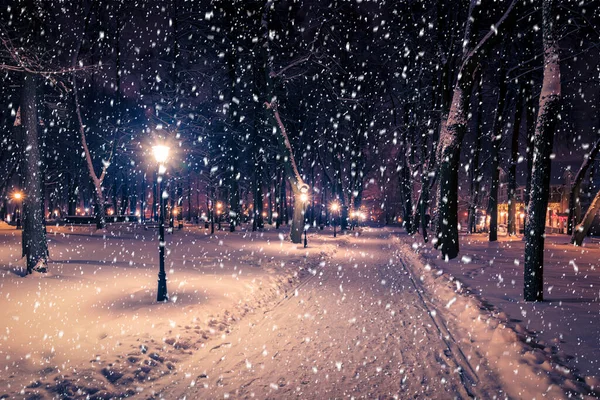 Winter Night Park Lanterns Pavement Trees Covered Snow Heavy Snowfall — Stock Photo, Image