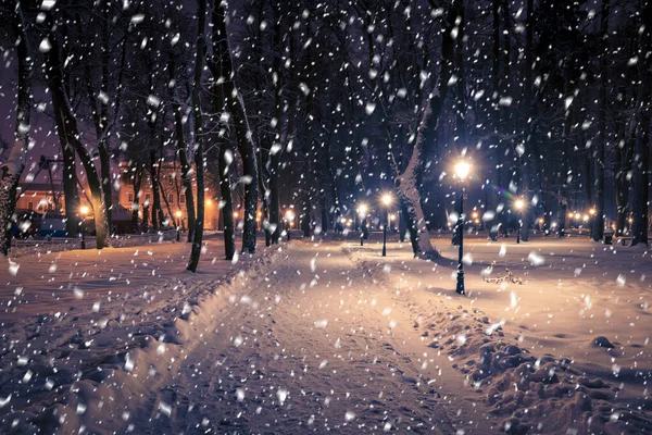 豪雪地帯の雪に覆われたランタン 舗装された木々と冬の夜の公園 — ストック写真