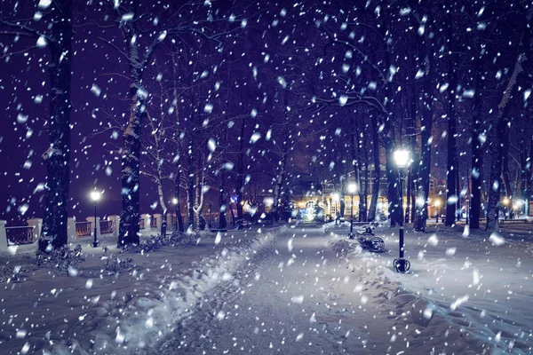 豪雪地帯の雪に覆われたランタン 舗装された木々と冬の夜の公園 — ストック写真