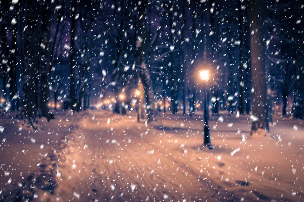 豪雪地帯の雪に覆われた提灯や舗装された木々が美しい冬の夜の公園の写真 — ストック写真