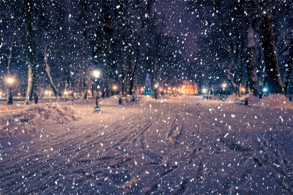 Blured photo of a winter night park with lanterns, pavement and trees covered with snow in heavy snowfall.
