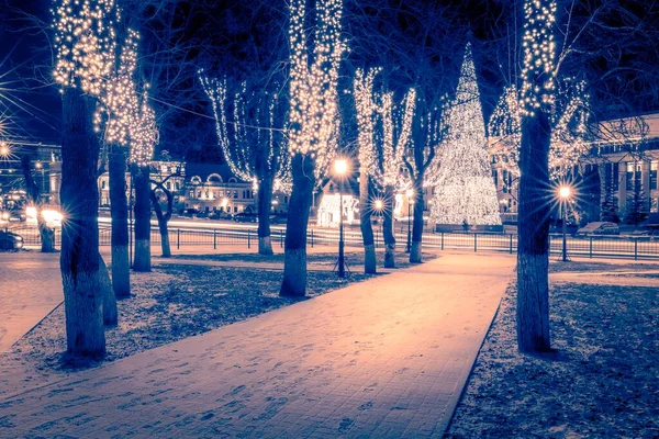 Winter Park Night Christmas Decorations Lights Pavement Covered Withsnow Trees — Stock Photo, Image