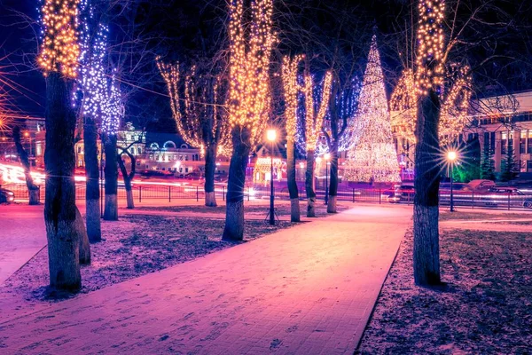 Winter Park Night Christmas Decorations Lights Pavement Covered Withsnow Trees — 스톡 사진