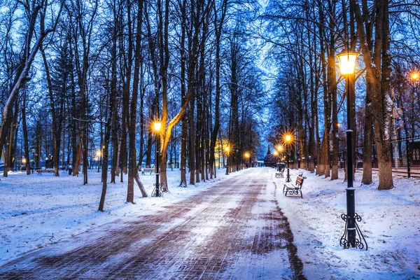 Parc Hiver Nuit Avec Des Lanternes Des Bancs Des Arbres — Photo