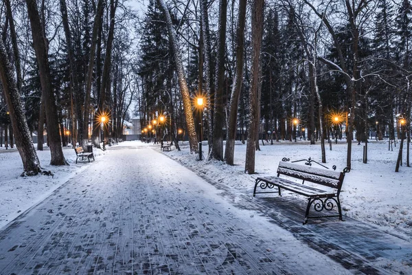 Parco Invernale Notte Con Lanterne Panchine Alberi Coperti Neve Paesaggio — Foto Stock