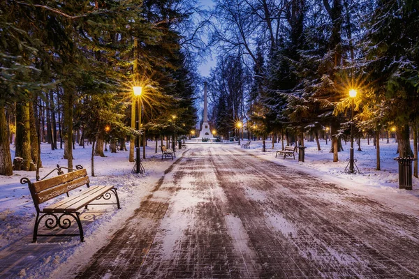 Parco Invernale Notte Con Lanterne Panchine Alberi Coperti Neve Paesaggio — Foto Stock