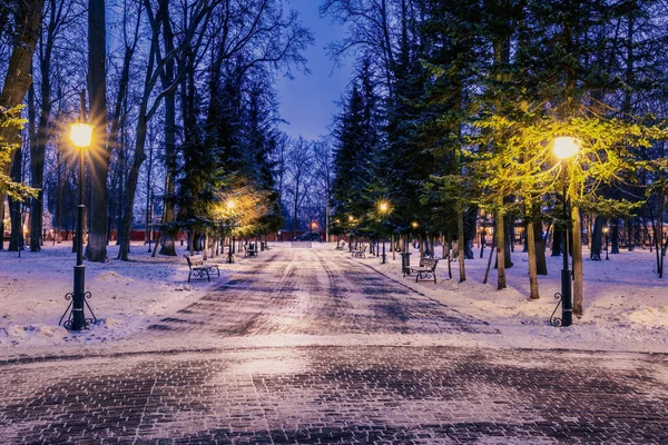 Зимний Парк Ночью Фонарями Скамейками Деревьями Покрытыми Снегом Пейзаж — стоковое фото