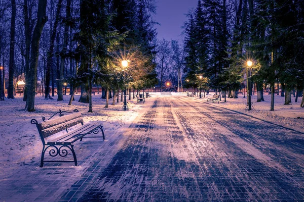 Parque Invierno Por Noche Con Farolillos Bancos Árboles Cubiertos Nieve —  Fotos de Stock