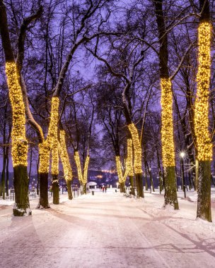 Geceleri kış parkı Noel süsleri, ışıklar, kaldırımlar karla ve ağaçlarla kaplı..