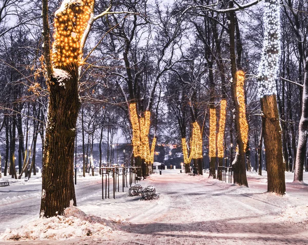 Winter Park Night Christmas Decorations Lights Pavement Covered Snow Trees — Stock Photo, Image