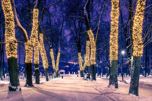 Zimowy Park Nocy Dekoracjami Świątecznymi Światłami Chodnikiem Pokrytym Śniegiem Drzewami — Zdjęcie stockowe