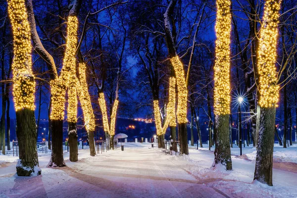 Zimowy Park Nocy Dekoracjami Świątecznymi Światłami Chodnikiem Pokrytym Śniegiem Drzewami — Zdjęcie stockowe