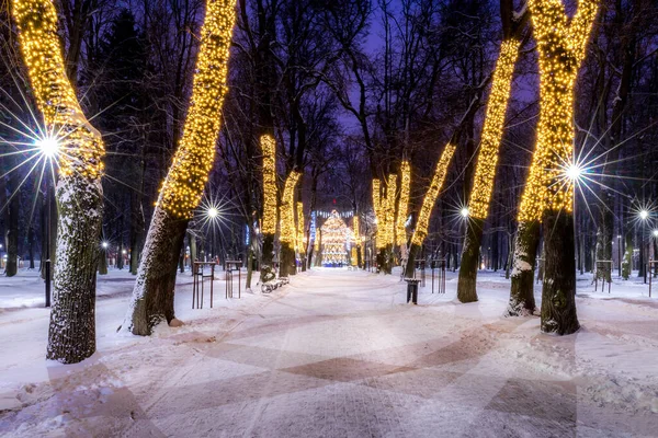 Зимний Парк Ночью Рождественскими Украшениями Огнями Тротуаром Покрытым Снегом Деревьями — стоковое фото
