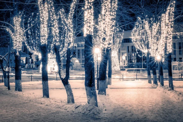 Winter Park Night Christmas Decorations Lights Pavement Covered Snow Trees — Stock Photo, Image