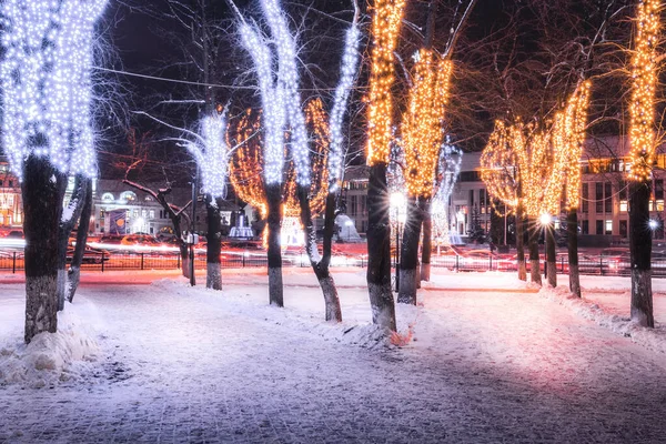 Zimowy Park Nocy Dekoracjami Świątecznymi Światłami Chodnikiem Pokrytym Śniegiem Drzewami — Zdjęcie stockowe