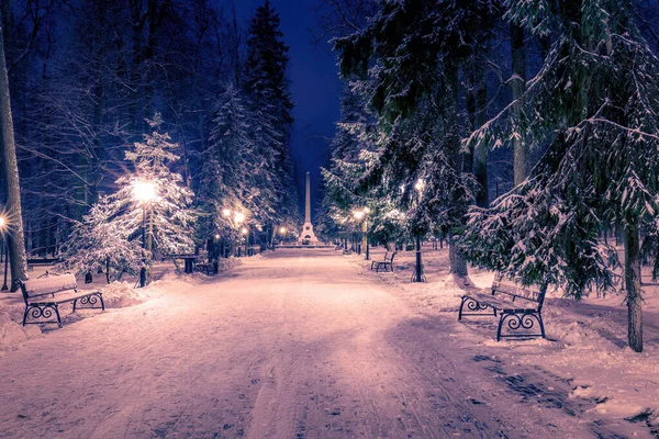 Parc Hiver Nuit Avec Des Lanternes Des Bancs Des Arbres — Photo