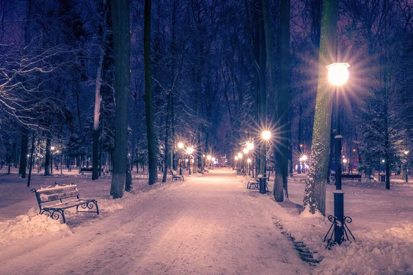 Zimowy Park Nocy Latarniami Ławkami Drzewami Pokrytymi Śniegiem Krajobraz — Zdjęcie stockowe