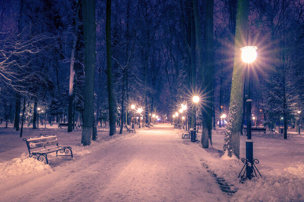 Winter park at night with lanterns, benches and trees covered with a snow. Landscape.