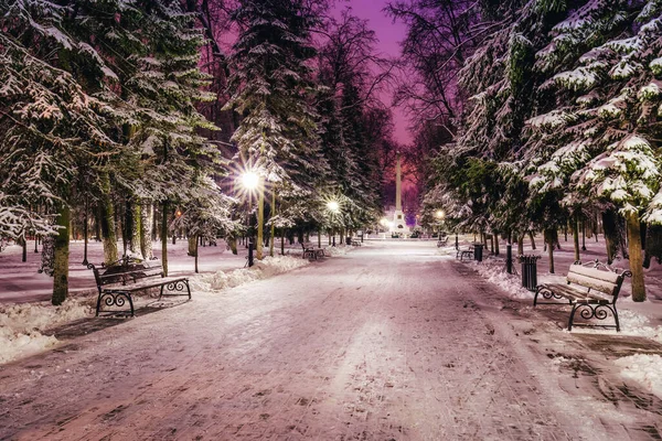 Parque Invierno Por Noche Con Farolillos Bancos Árboles Cubiertos Nieve — Foto de Stock