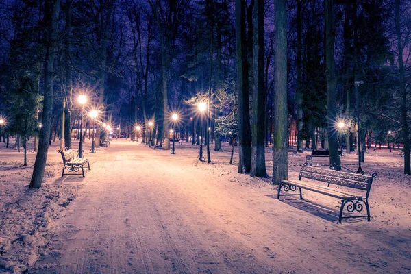 Parque Invierno Por Noche Con Farolillos Bancos Árboles Cubiertos Nieve — Foto de Stock